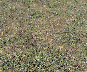 Ground terrain grass PBR pack 5