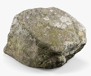 Maine Rock - 8K Scan