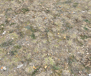 Ground terrain tundra PBR pack 1