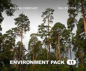 EP11 / Pines in Overcast — photo reference pack