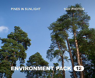 EP12 / Pines in Sunlight — photo reference pack