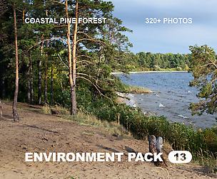 EP13 / Coastal Pine Forest — photo reference pack