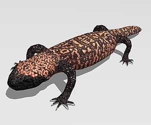 Gila monster