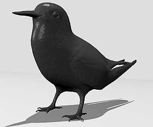 Tern