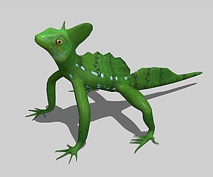 Basilisk lizard