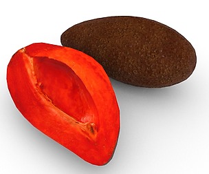 Mamey (Pouteria sapota)