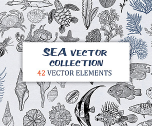 SEA VECTOR COLLECTION SET