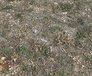 Ground terrain forest tundra PBR pack 2