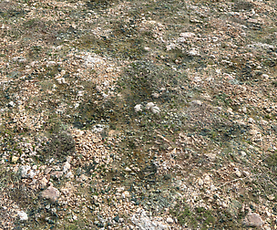 Ground terrain forest tundra PBR pack 3