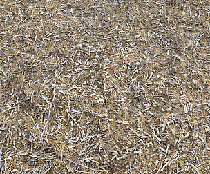 Ground terrain rough forest PBR pack 1