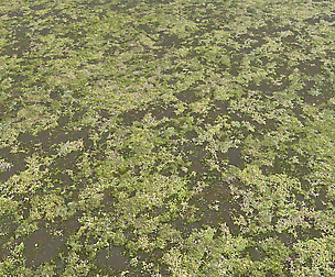 Ground terrain swamp PBR pack 1