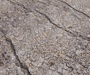 Ground terrain desert PBR pack 4