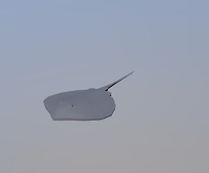 Low Poly Cartoon Stingray