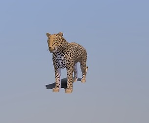Low Poly Cartoon Leopard