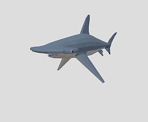 Low Poly Cartoon Hammerhead Shark