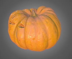 Pumpkin PBR Game Asset