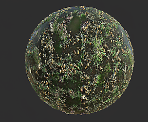 Forest Ground with Water PBR Texture Material