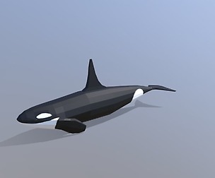 Low Poly Cartoon Orca Killer Whale