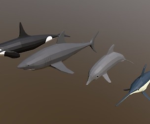 Low Poly Fish Collection