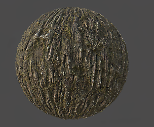 Tree Bark 003 PBR Material Texture