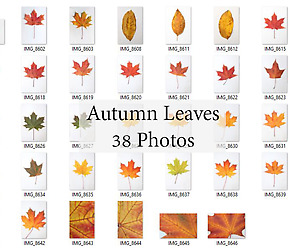 Autumn Leaves