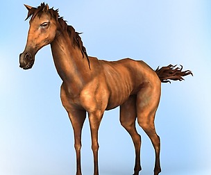 Fantasy Horse