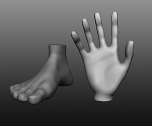 Hand & Feet IMM