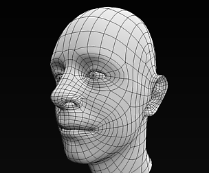 Average Male Head Base