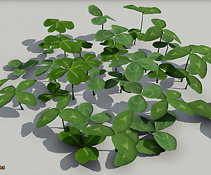 Yughues Clovers