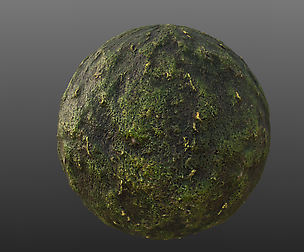 Moss PBR Material Texture