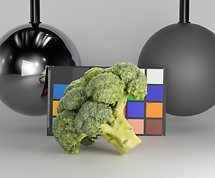 Cob of broccoli 27