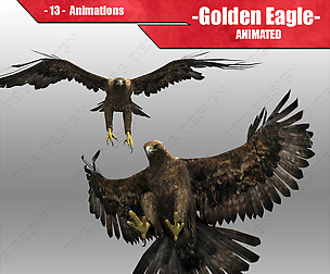 Golden Eagle