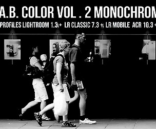 LAB Color Vol. 2 - Monochrome profiles LR ACR