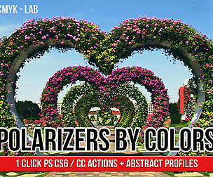 Polarizers by Colors actions