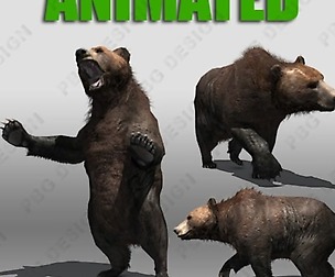 Grizzly Bear