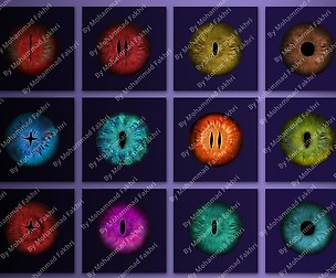 12 Hand Painted iris textures made in photoshop