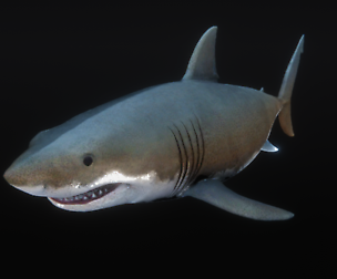 Jaws White Shark Low-poly 3D model