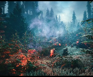 North European Forest Pack