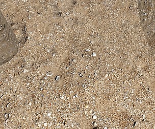 Sand terrain. Free Download.