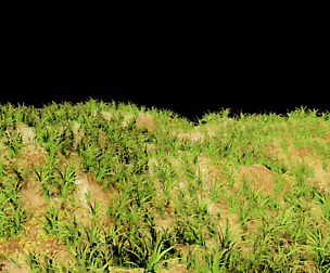 Grass Clump