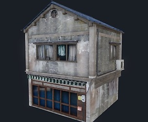 Tokyo Style Kanda House