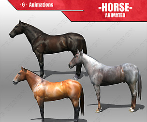 Horses