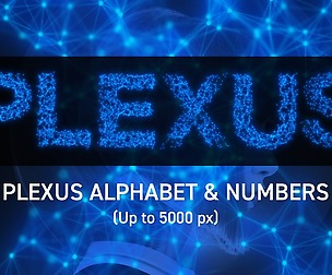 Plexus Letters and Numbers Collection