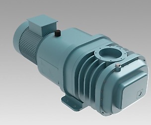 Twin rotor vacuum pump
