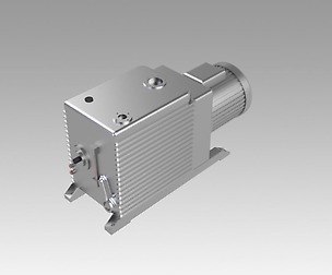 Rotary vane vacuum pump