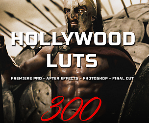Hollywood LUTs - 300