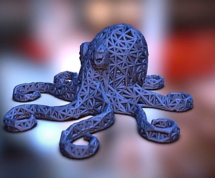 Octopus