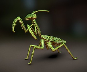 Praying Mantis