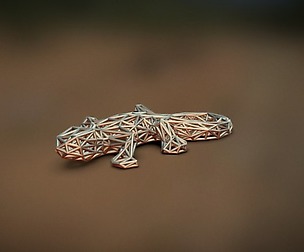 Lizard