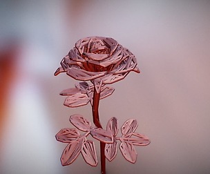 Rose single stick